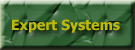 Expert Systems