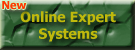online Expert Systems