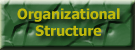 Organizational Structure